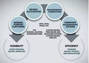 神經(jīng)網(wǎng)絡(luò) 技術(shù)發(fā)展、未來挑戰(zhàn)與網(wǎng)絡(luò)技術(shù)開發(fā)的交匯點(diǎn)